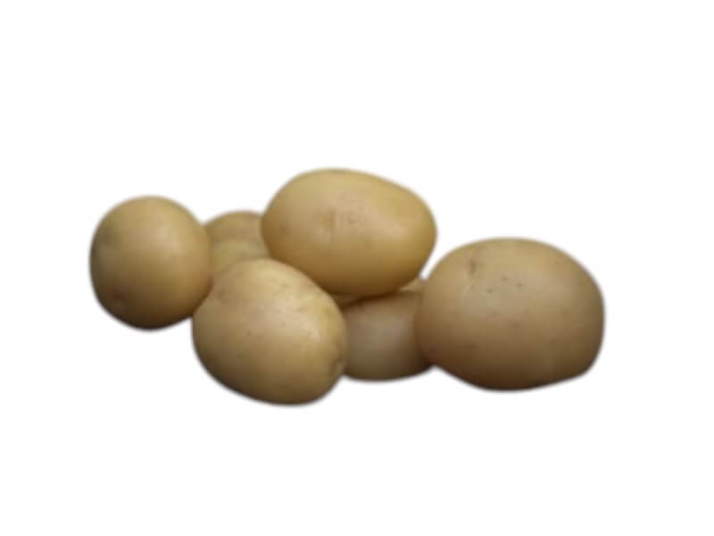 Læggekartoffel Ally 1,5 kg til haveplantning.