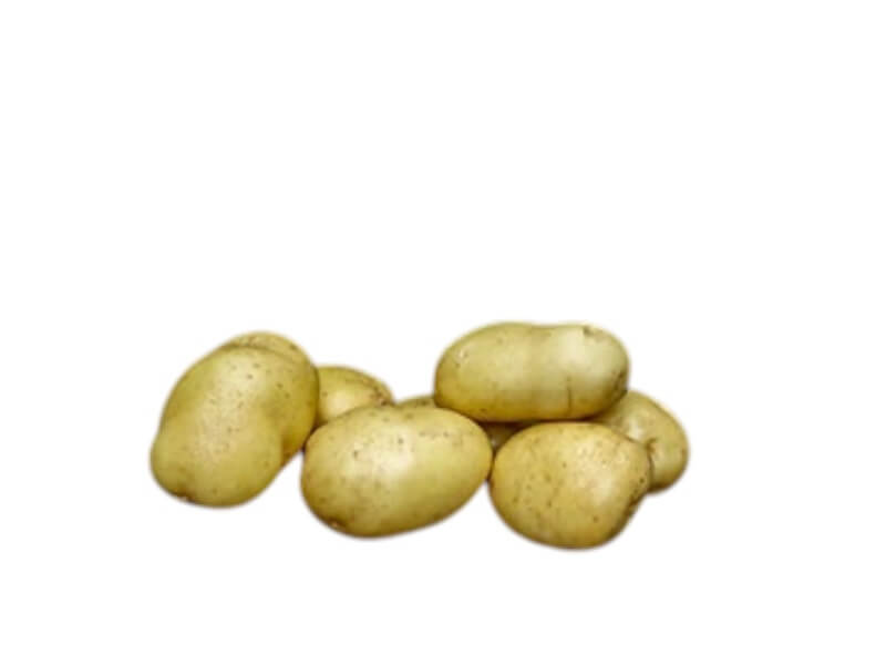 Læggekartoffel Bintje 1,5 kg til haveplantning.