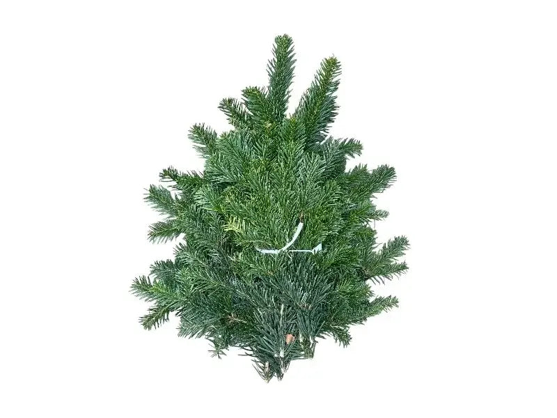 Pyntegrønt Nordmansgran, 1 kg - til dekoration og pynt.