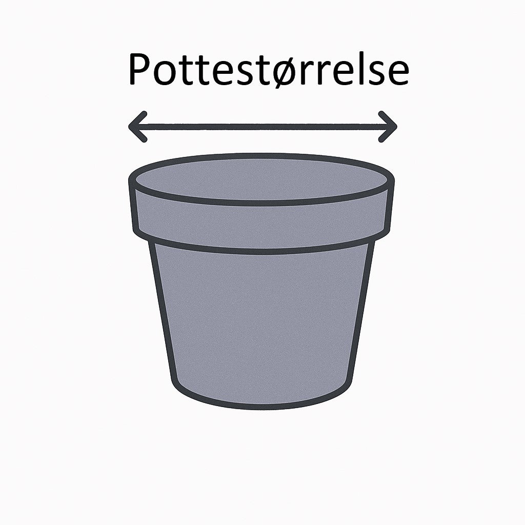 Pottestørrelse illustration
