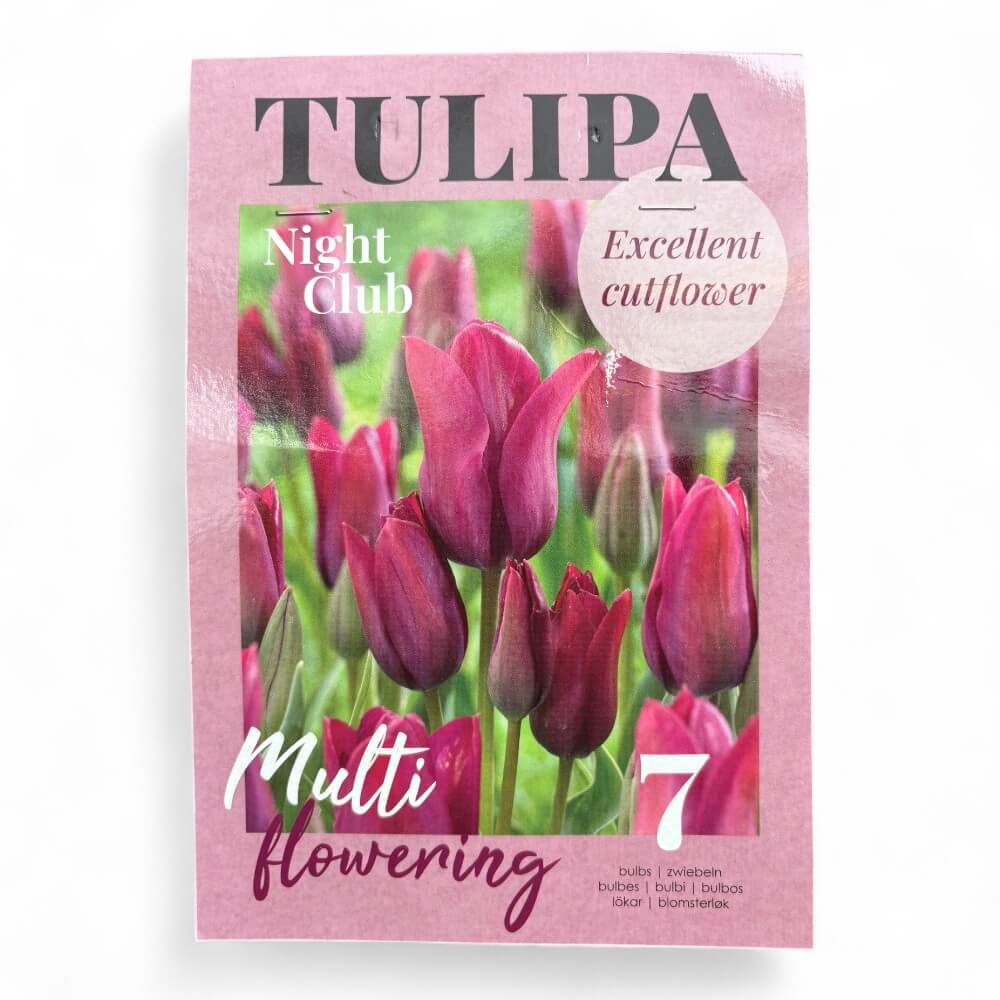 Tulipan, TULIPA NIGHT CLUB