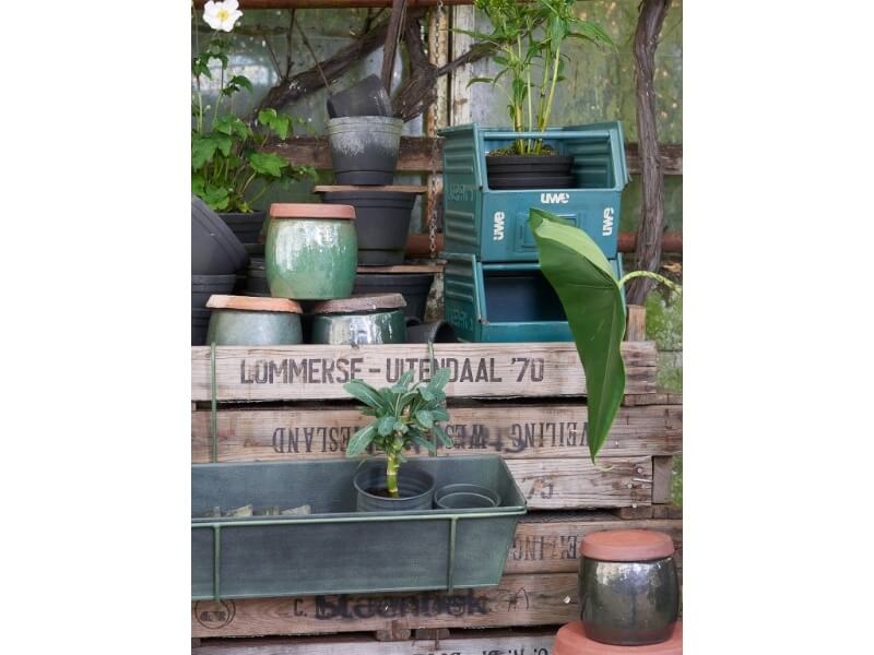 VIGGA altankasse - MOSS GREEN - 50x18x14 cm