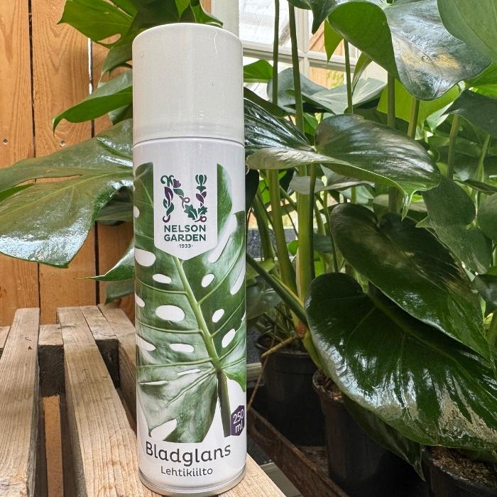Bladglans til stueplanter - 250 ml