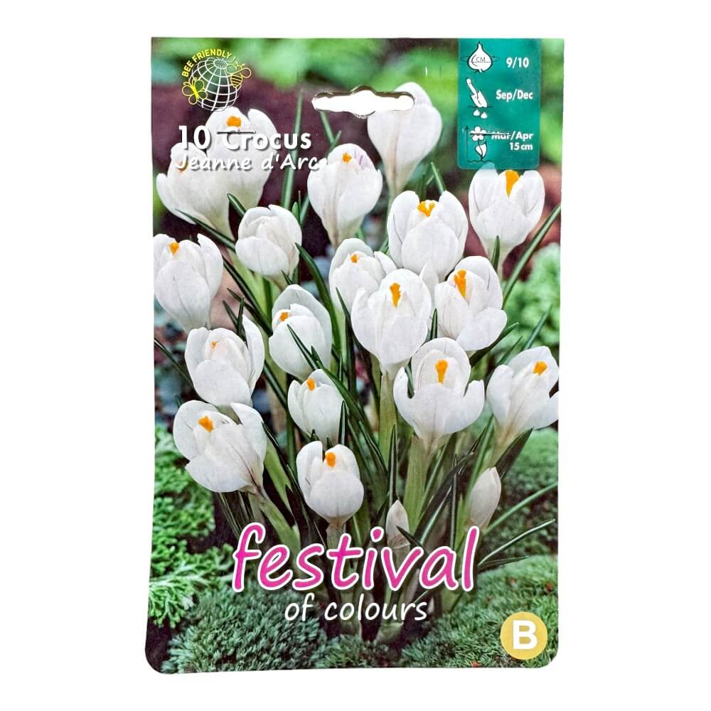 Krokusløg, Crocus ´Jeanne d'Arc´ - 10 stk.