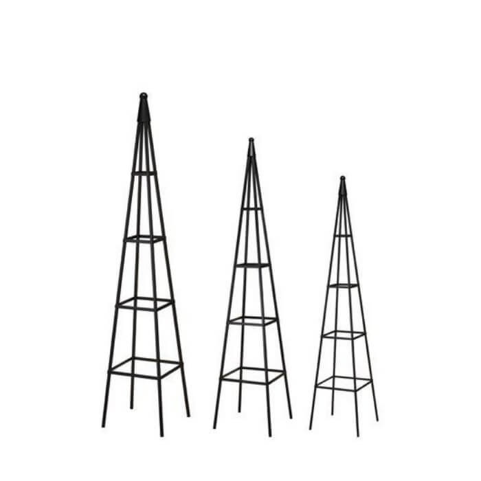 CYNTHIA espalier pyramider