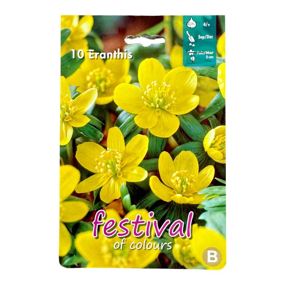 Erantis, Eranthis Hyemalis - 10 stk.