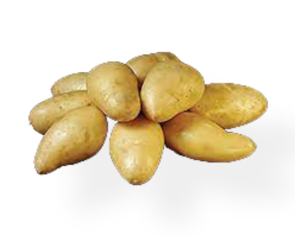 Læggekartoffel Exquisa, 1,5 kg til haveplantning.