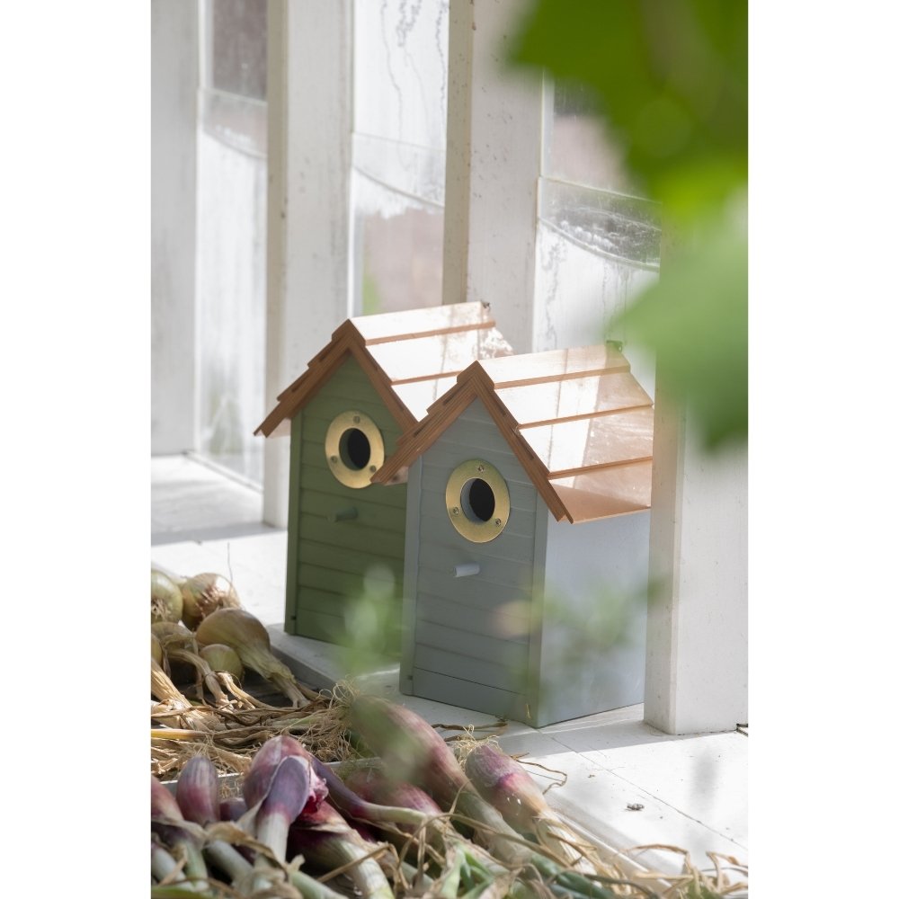 Fuglehuse i blå/grøn