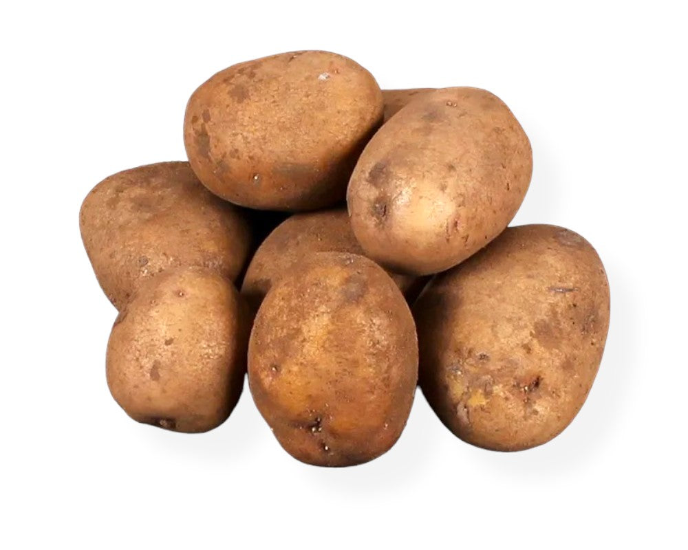 Læggekartoffel Hansa 1,5 kg til haveplantning.