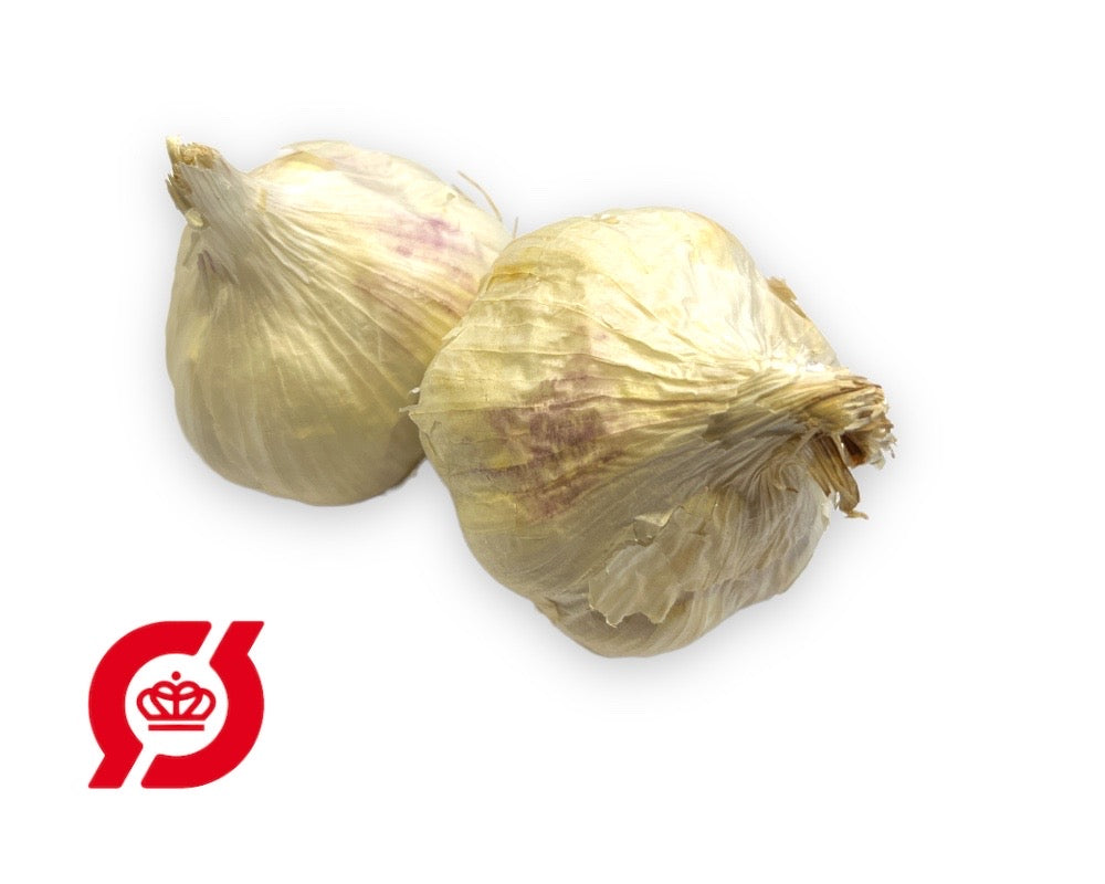 Økologisk hvidløg ´Vigor´ (sættehvidløg) til plantning.