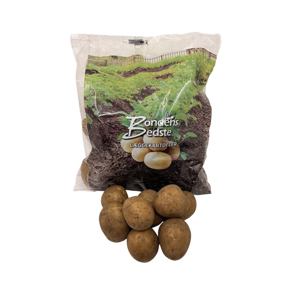 Læggekartoffel - Ditta 1,5 kg
