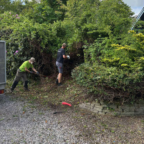 Lej en Gartner service til havearbejde hos Hobby Haven i Hasselager