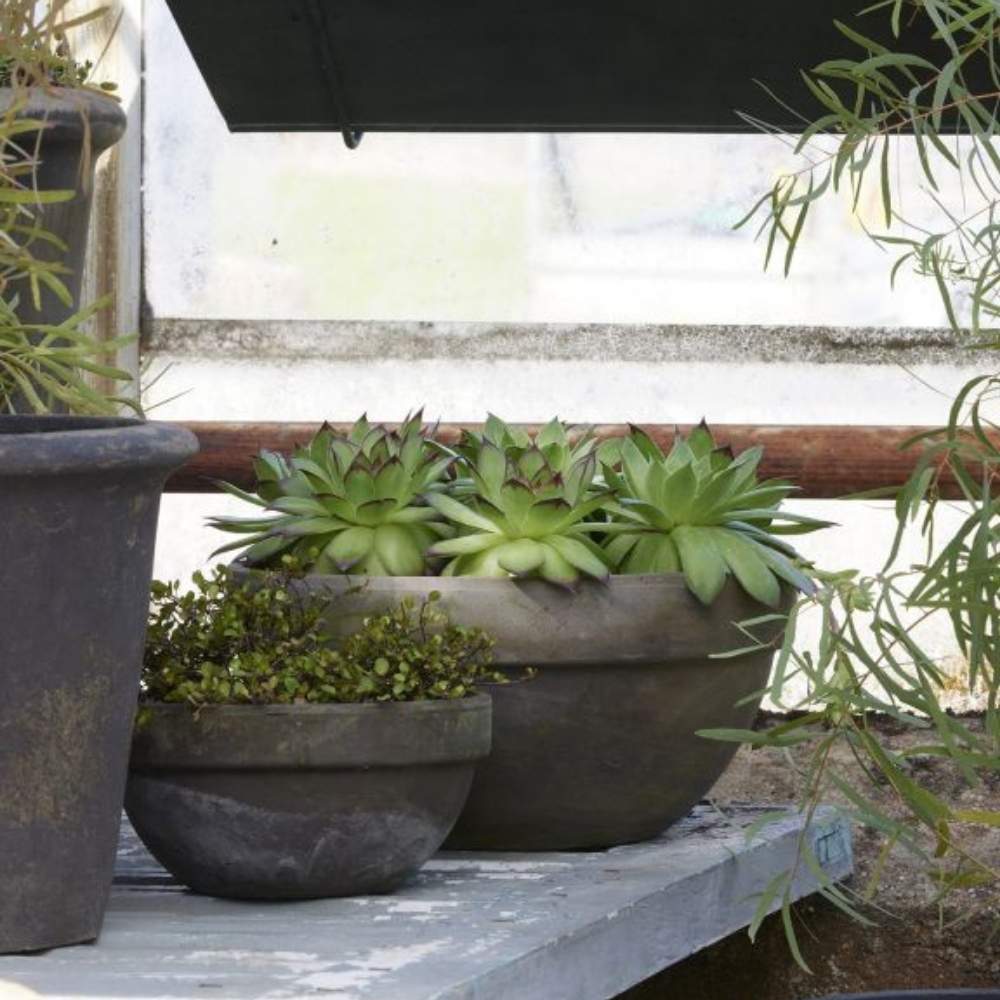 KRUKKE, LEVI - LIGHT CHOKO PATINA Ø23x14 cm fra Bgreen