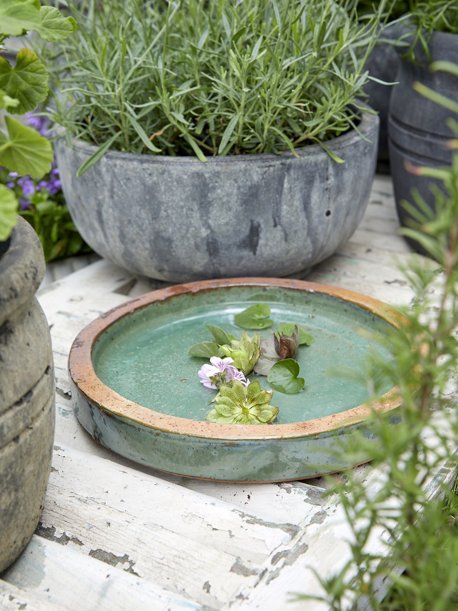 Fuglebad til haven fra Bgreen