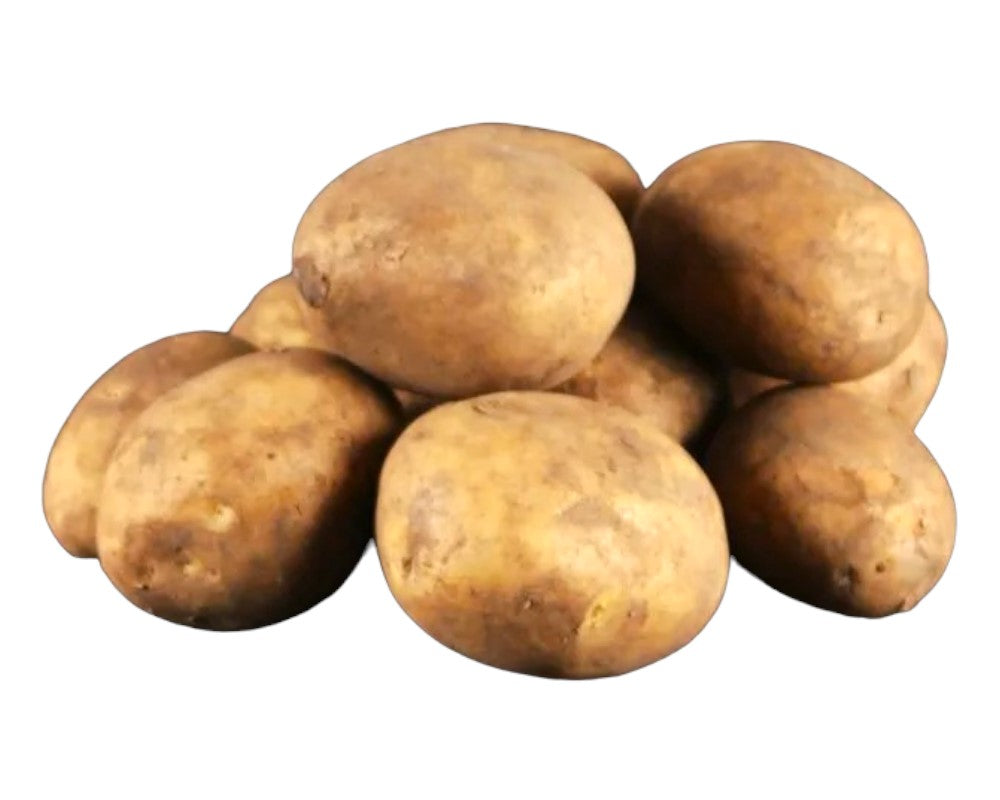 Læggekartoffel Mikado 1,5 kg til haven.