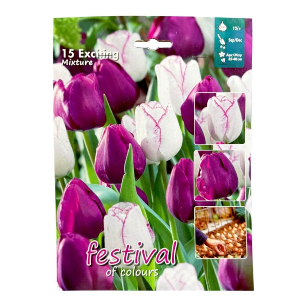 Tulipanløg, Mix ´Exciting´ - 15 stk.