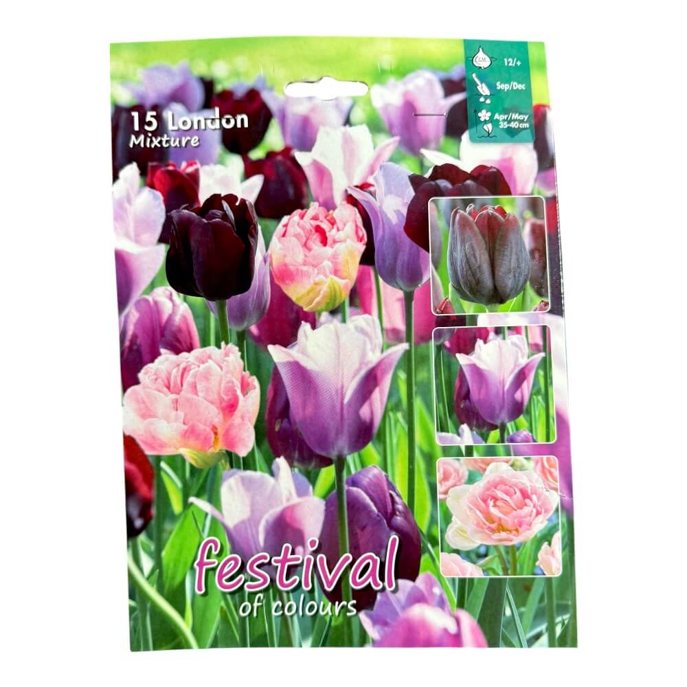 Tulipanløg, Mix ´London´ - 15 stk.