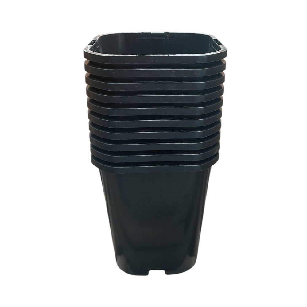 Plastpotte Firkantet 11cm 10pk