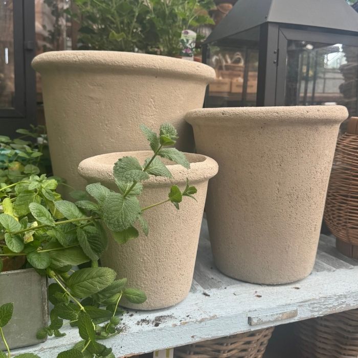 Rose potter, raw cement