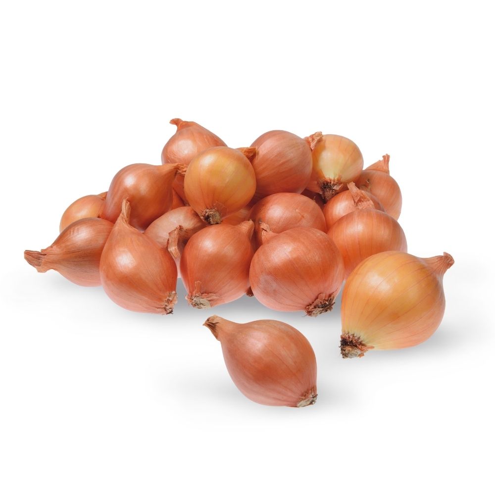 Sætteløg - Skalotte, Yellow Moon 250g 7/14mm