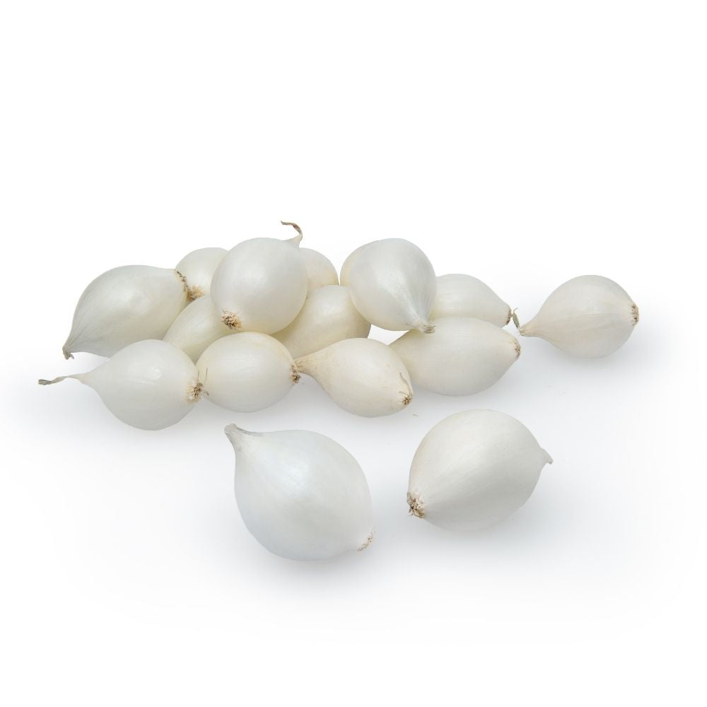 Sætteløg - Snowball - 250g 21/24 mm.