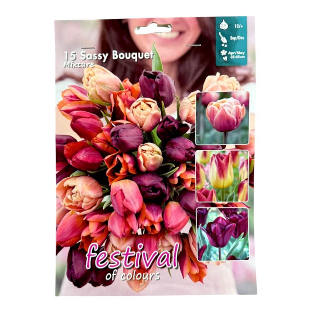 Tulipanløg, Sassy Bouquet Mix I