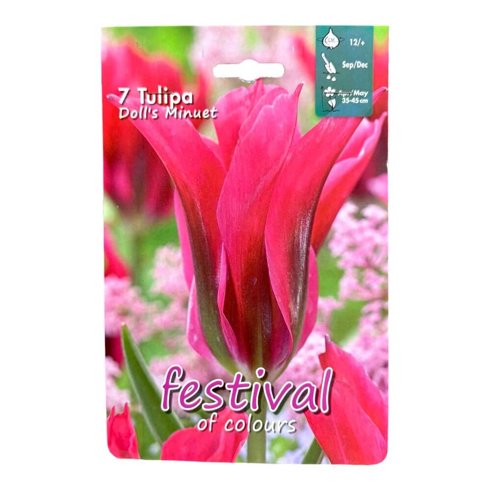 Tulipanløg, Tulipa 'Doll's Minuet' - 7 stk.
