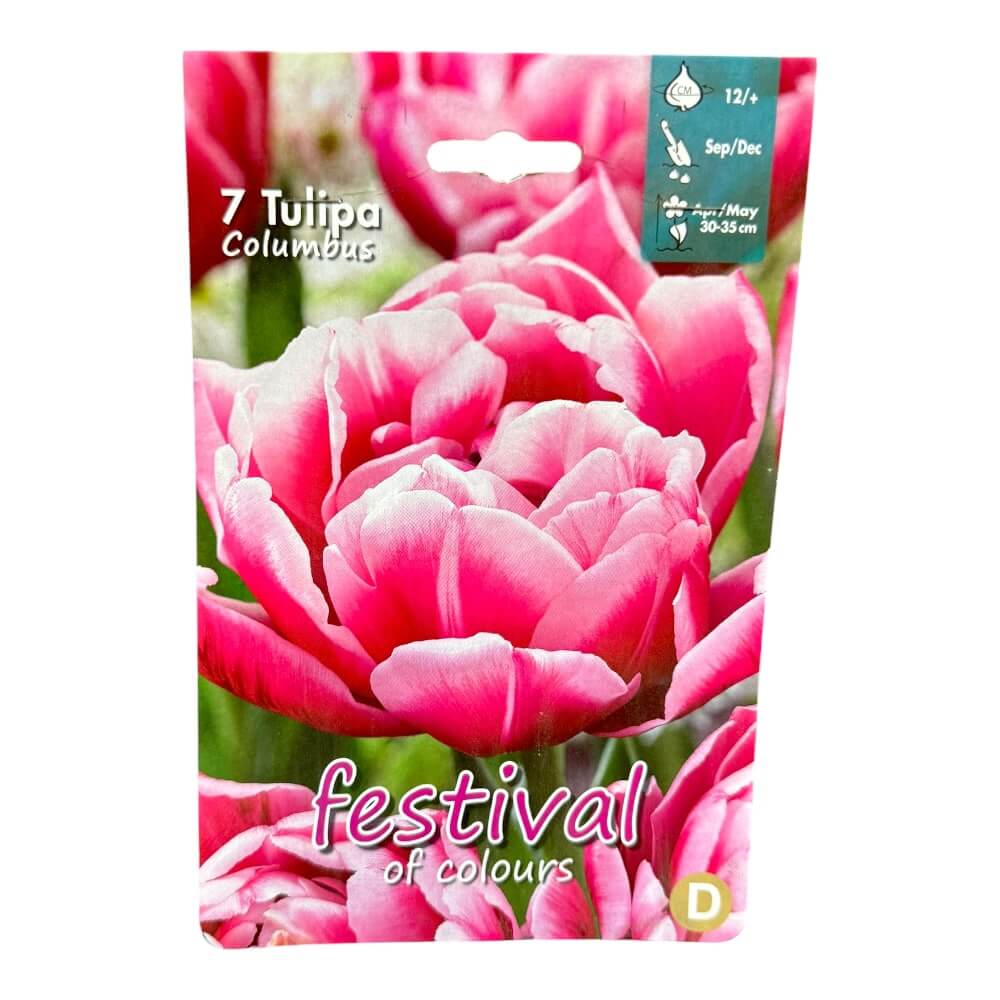Tulipanløg, Tulips ´Columbus´ - 7 stk.