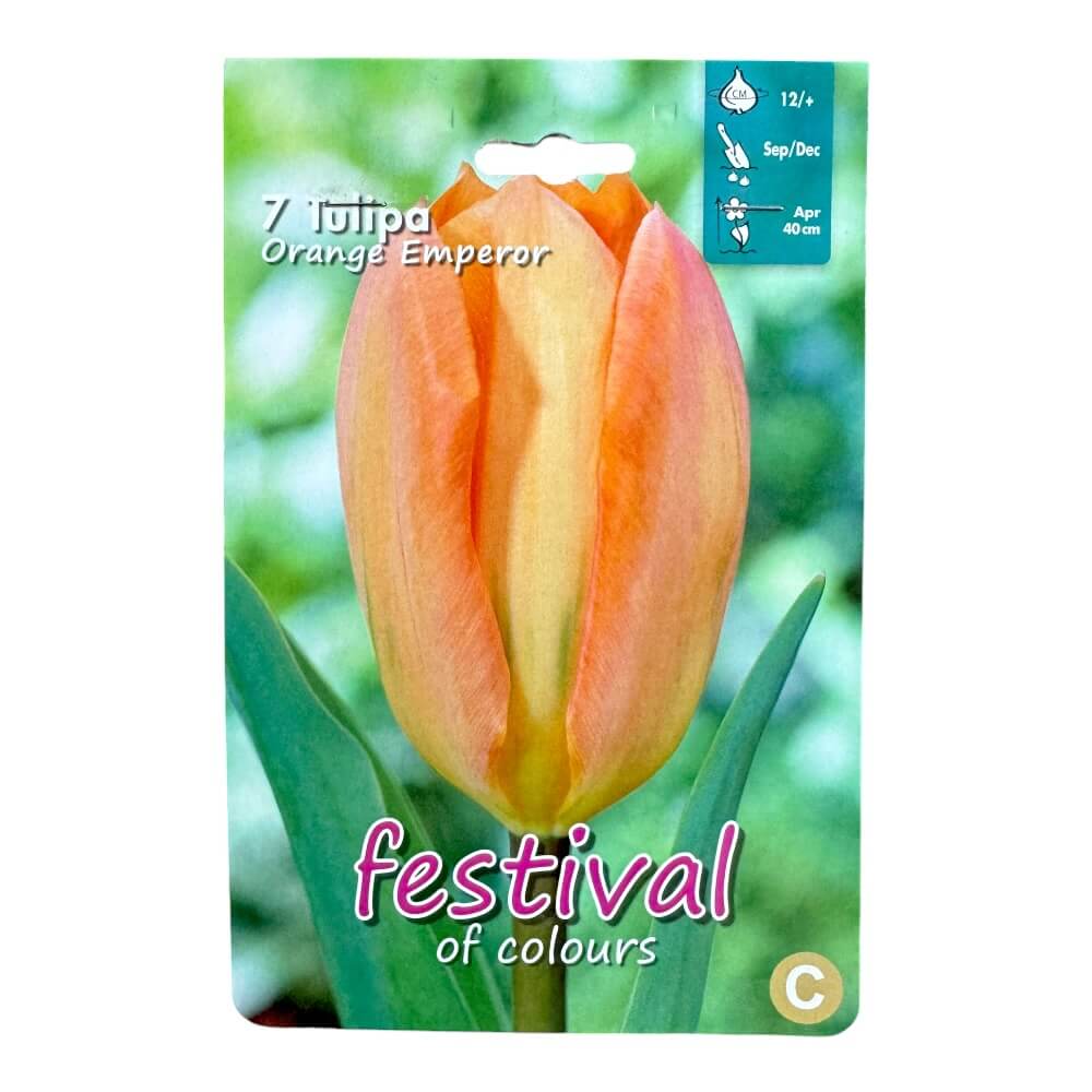 Tulipanløg, Tulips ´Orange Emperor´ - 7 stk.