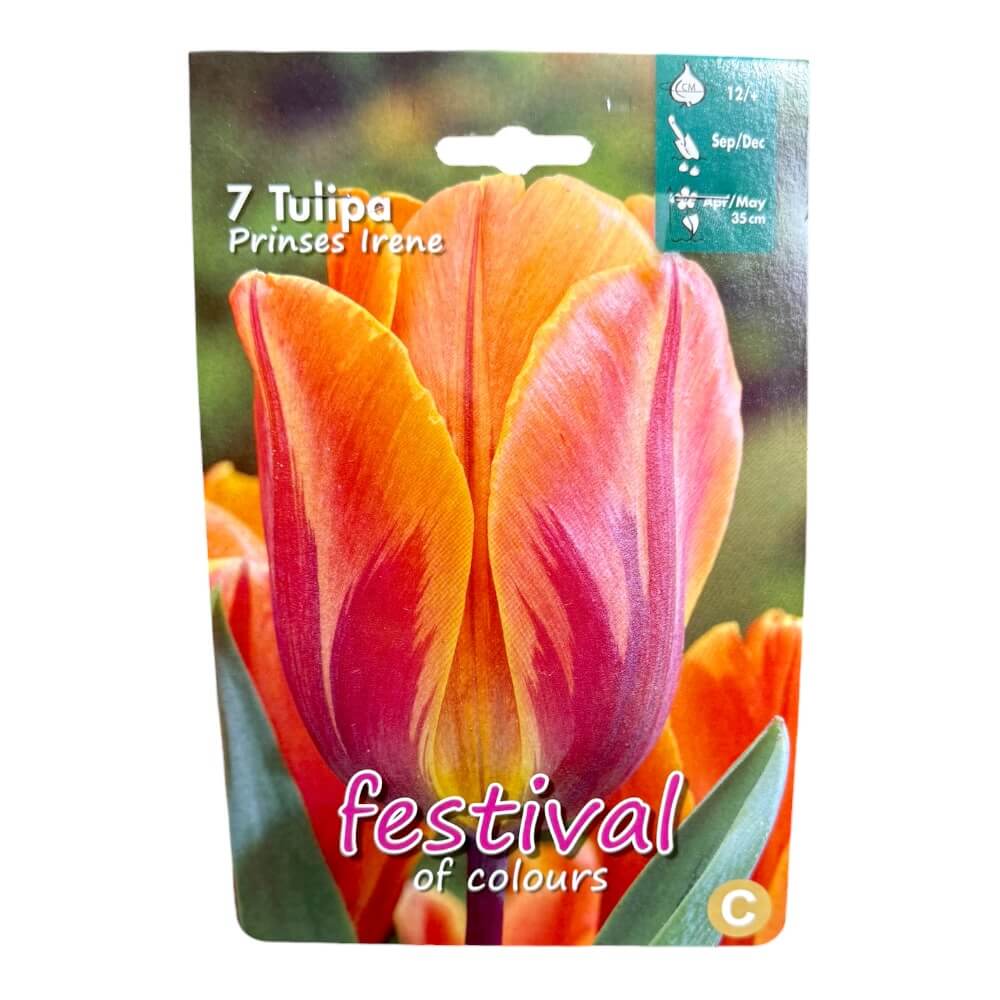 Tulipanløg, Tulips ´Prinses Irene´ - 7 stk.