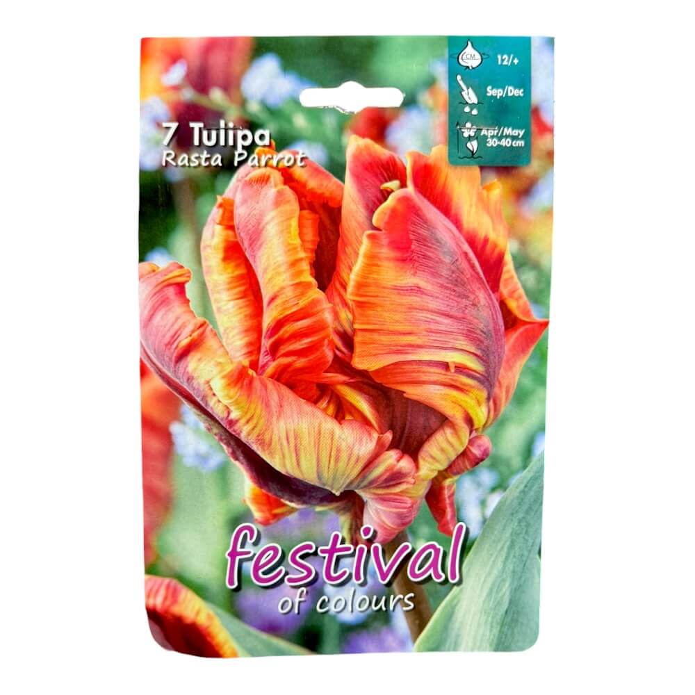 Tulipanløg, Tulips ´Rasta Parrot´ - 7 stk.