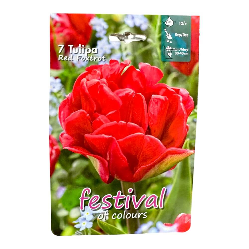 Tulipanløg, Tulips ´Red Foxtrot´ - 7 stk.