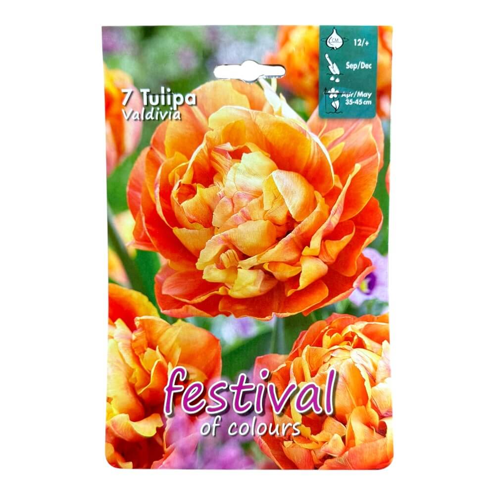 Tulipanløg, Tulipa ´Valdivia´ 12/+ - 7 stk.