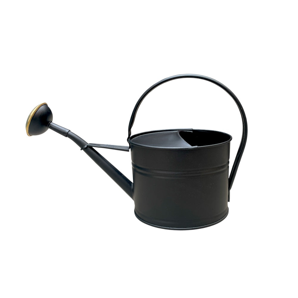 ANIKA vandekande i sort, der rummer 1,7L