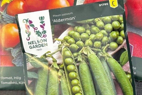 Ærtefrø, tomatfrø, radisefrø. Lille udvalg af Hobby Havens flere hundrede grøntsagsfrø til haven