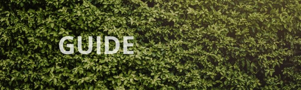 Hvilken hæk skal jeg vælge?