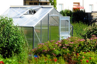 Drivhus med planter – Køb drivhusplanter hos Hobby Haven og skab et frodigt og inspirerende drivhusmiljø.
