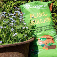 Champost jord til dit haveprojekt fra Hobby Haven