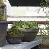 Alle krukker og potter