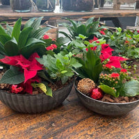 Planteskål og plantefad