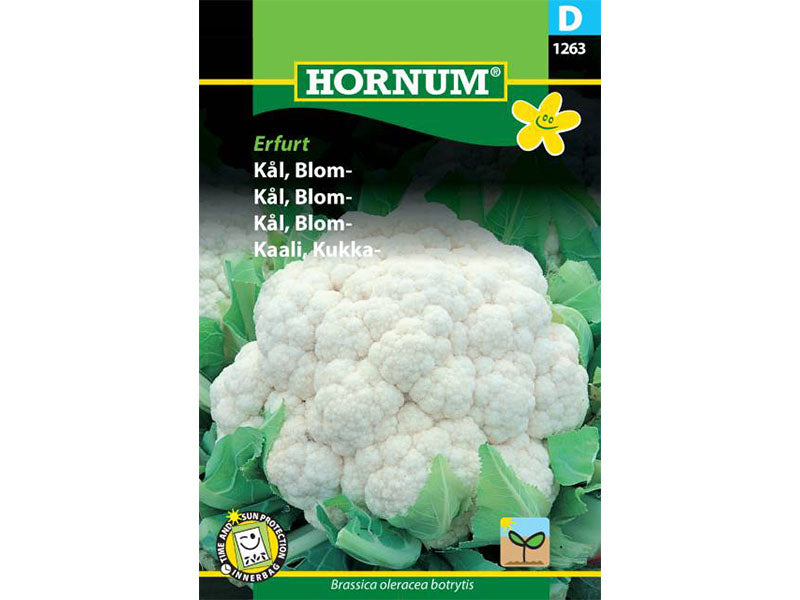 Frøpose med blomkål, variant Erfurt.
