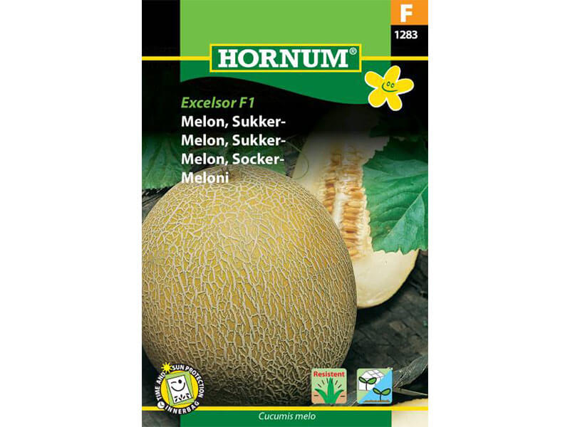 Frøpose med sukkermelon Masada F1 hybrid.