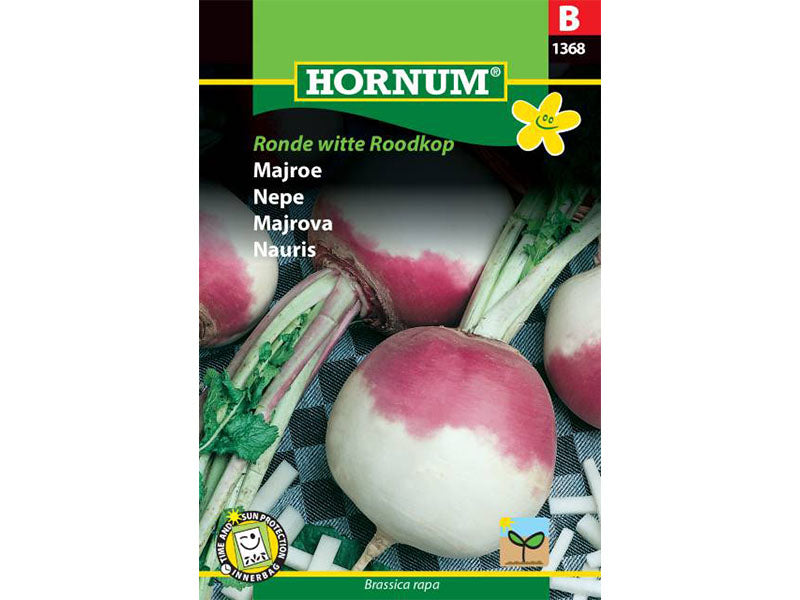 Majroe, Ronde Witte Roodkop (B)