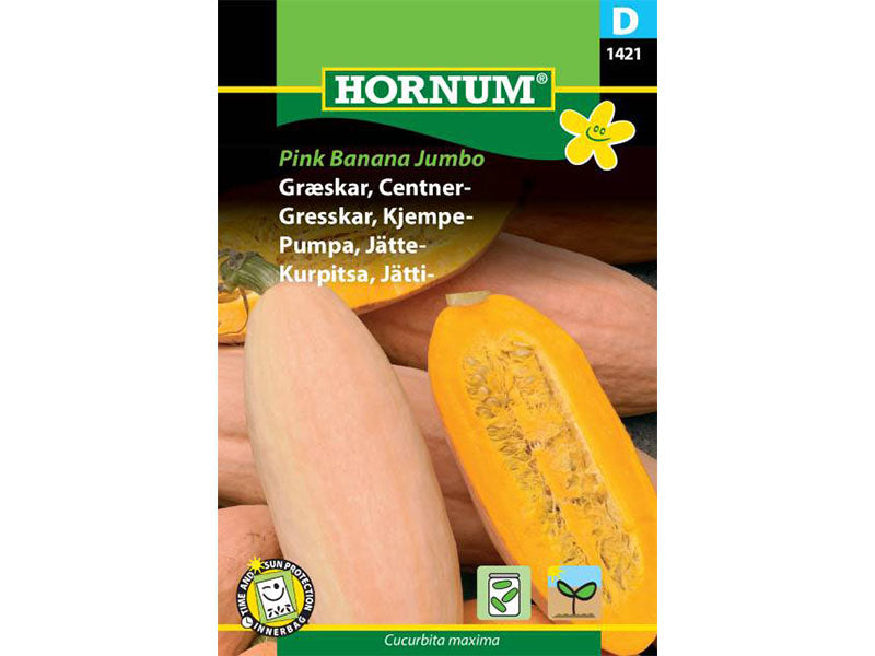 Frøpose med græskar, Centner Pink Banana Jumbo.