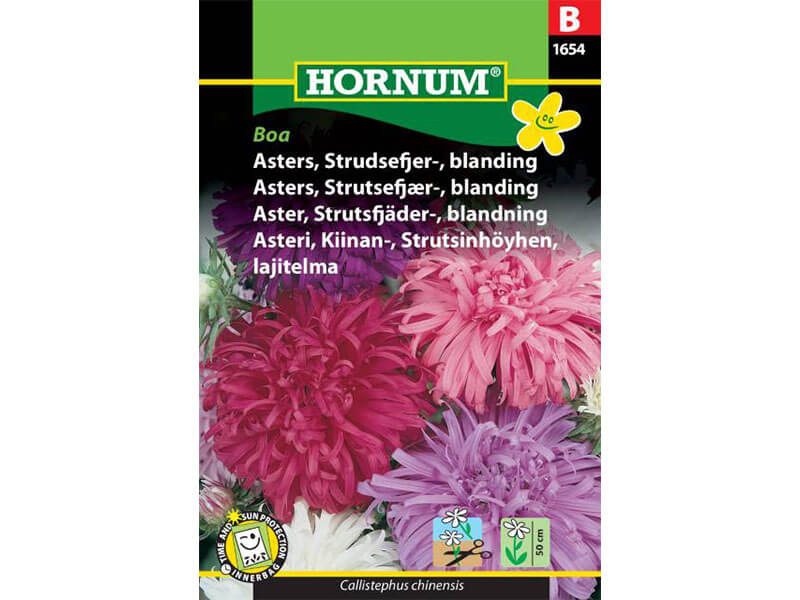Frøpose med blanding af strudsefjer asters.