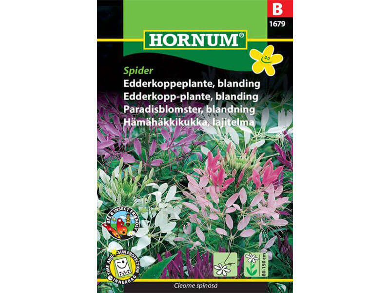 Frøpose med blanding af edderkoppeplante.