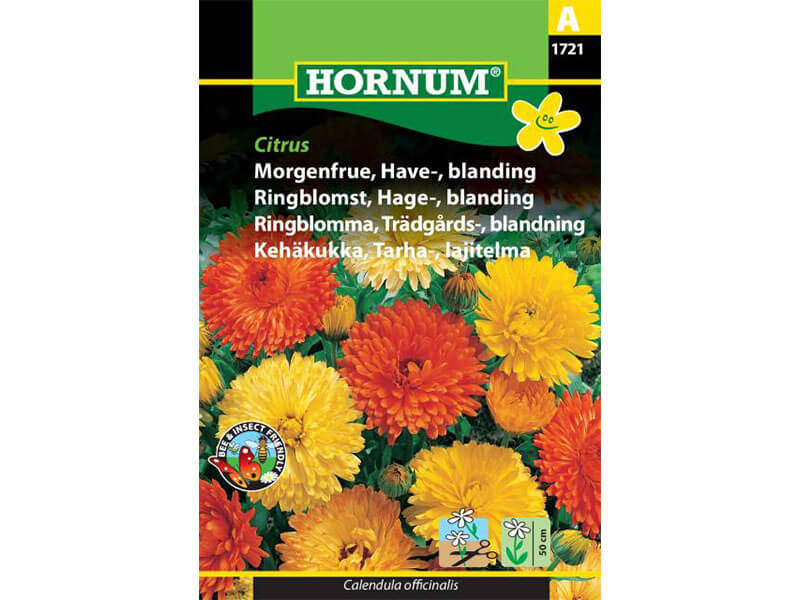Frøpose med morgenfrue haveblanding.