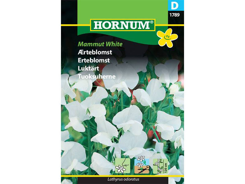 Frøpose med ægte ærteblomst Mammut White.