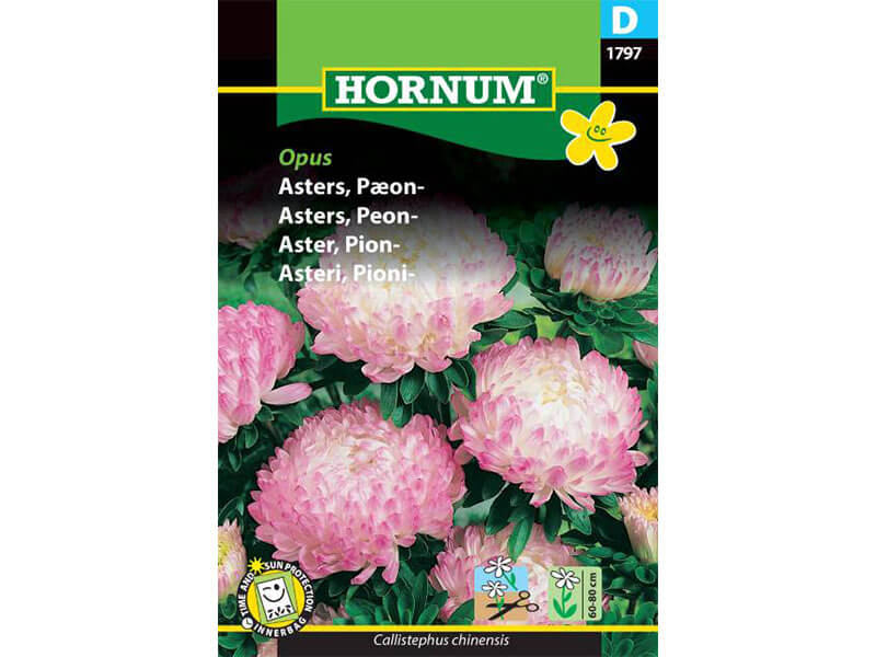 Frøpose med pæon-asters.