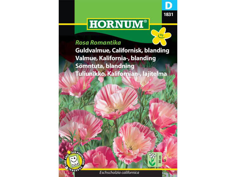 Guldvalmue, Californisk, bl. Rosa R. (D)